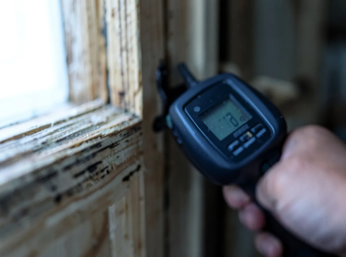 Moisture Inspection And Documentation in French Camp, MS